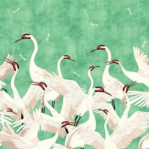 Cisnes Verde Claro — estampa do papel de parede